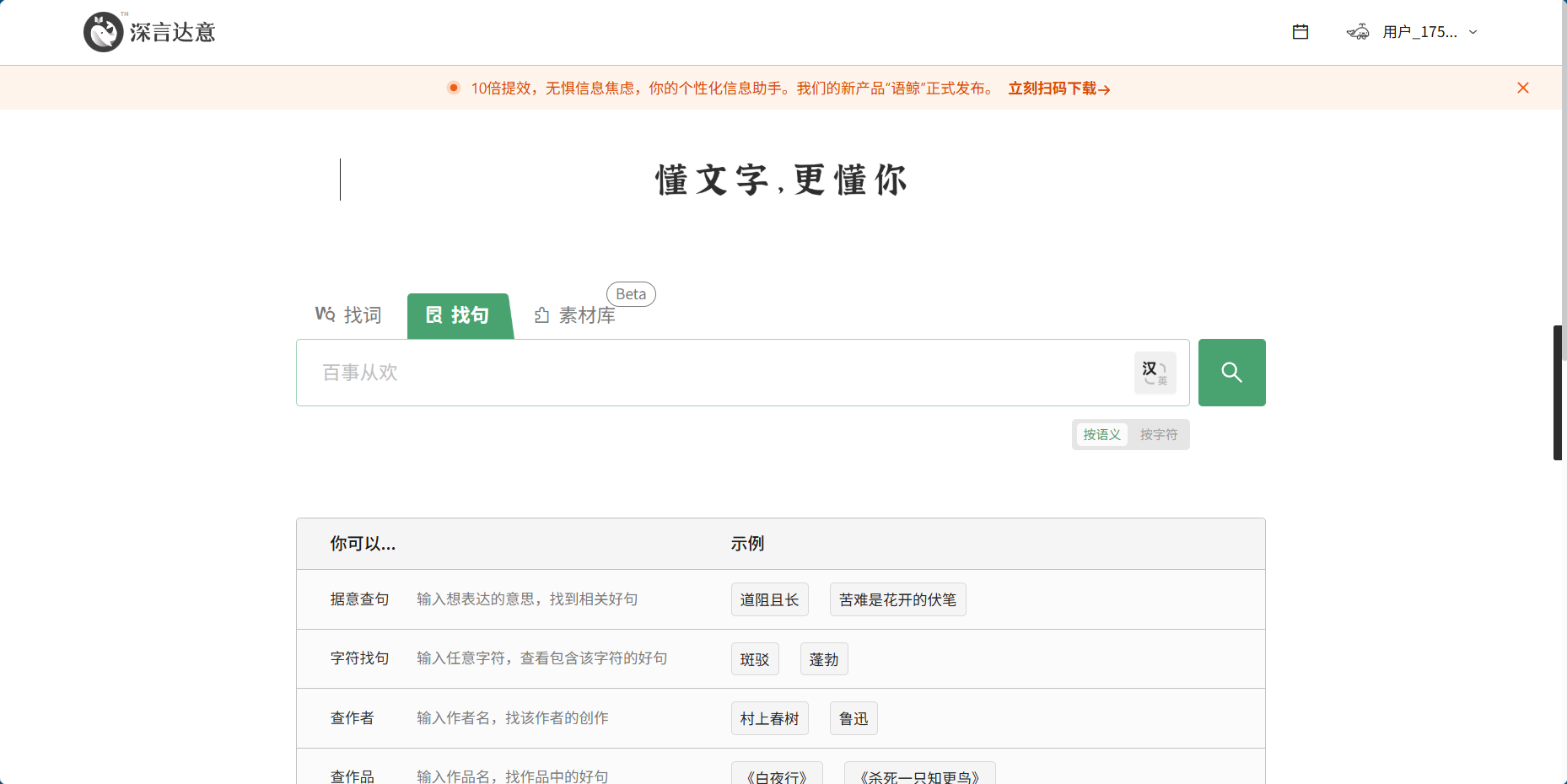 深言达意